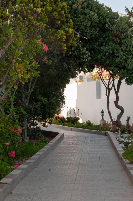Arkasa Bay Hotel Zewnętrze zdjęcie